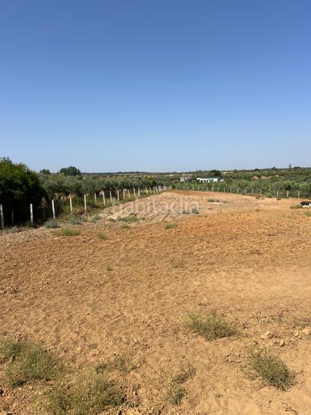 Foto 445f7e96-05f8-4f85-913d-a4b5b3898a89. Propriété dans Almonte Almonte