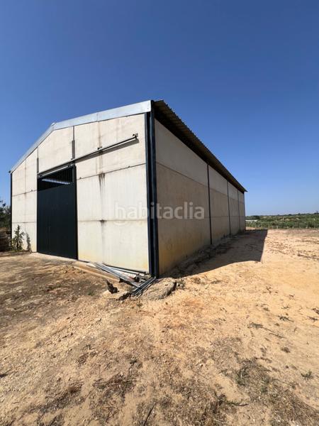 Foto 4d7ac98a-af11-49b9-a922-868f34c4b217. Propriété dans Almonte Almonte