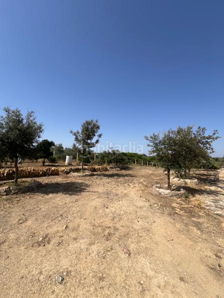 Foto 57072043-78ba-40b8-be0f-738bb1041b38. Propriété dans Almonte Almonte