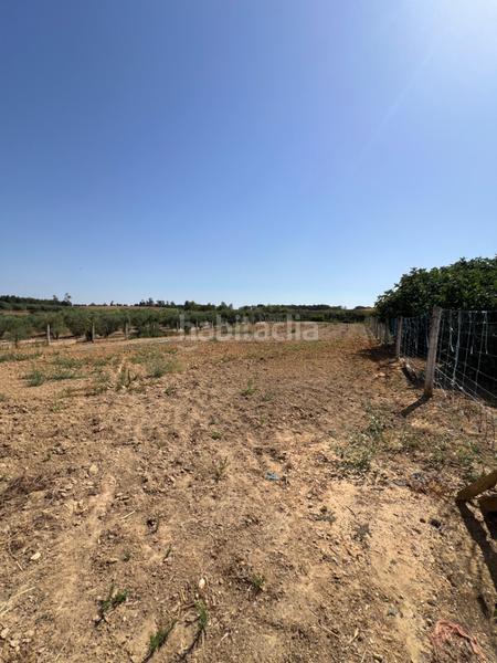 Foto 5b3d00bf-946c-414c-b453-c2af6dd38a3f. Propriété dans Almonte Almonte