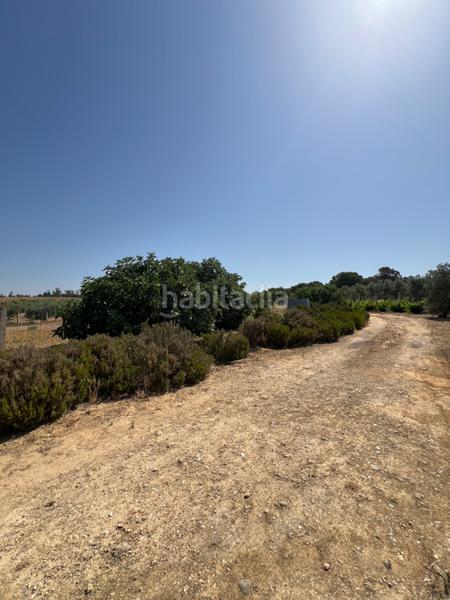 Foto 6a8d583b-104f-4a0a-a81a-01b3b7078d65. Propriété dans Almonte Almonte