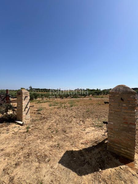 Foto 78595600-1cdc-45d1-955f-b691ebf00a8a. Propriété dans Almonte Almonte