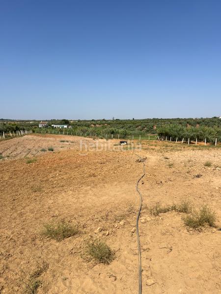 Foto 8e638c93-701b-450c-9138-1ef521a159f9. Propriété dans Almonte Almonte