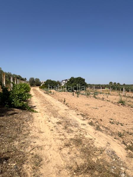 Foto a5714621-4142-4391-a83b-f37ed9f70245. Propriété dans Almonte Almonte