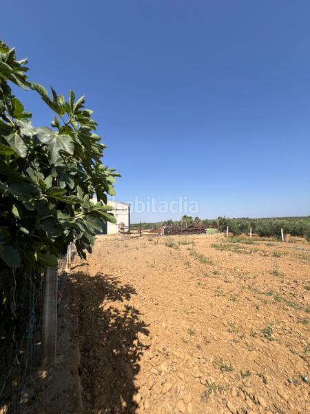 Foto aff093b0-5c9d-4b51-b45a-e6b173feb856. Propriété dans Almonte Almonte