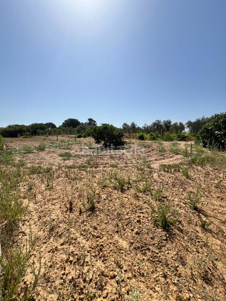 Foto b46a18c4-d754-4f0d-84f0-0ed9893577b2. Propriété dans Almonte Almonte