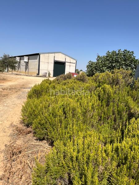 Foto b7e1f2a1-e39f-4fb8-9a0e-6e73e8ded51b. Propriété dans Almonte Almonte