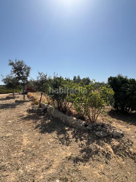 Foto d30ab612-497a-410f-9070-0c5586f7d9e1. Propriété dans Almonte Almonte