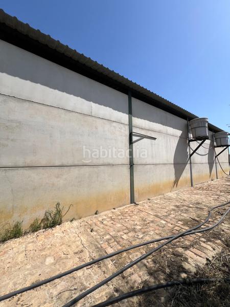 Foto daea7b32-33c8-4051-9e3e-5e4dfd2b6fed. Propriété dans Almonte Almonte