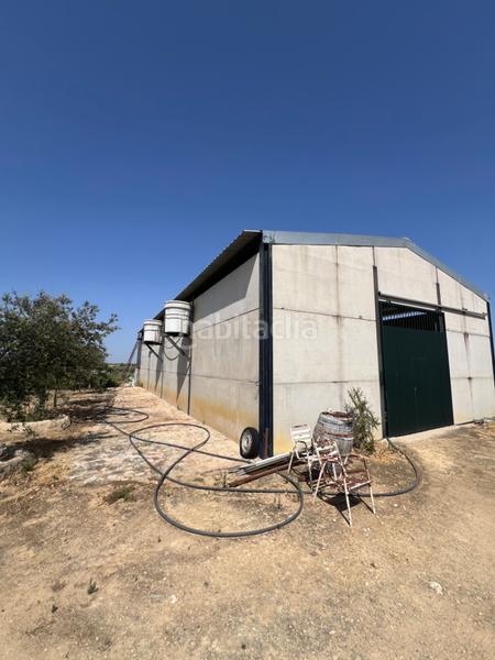 Foto e5ec97f0-c4f5-4514-806b-6b25f417b117. Propriété dans Almonte Almonte