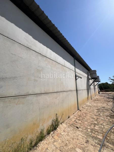 Foto ed7eb2d0-2184-4aa3-a30a-5bea15a58d6e. Propriété dans Almonte Almonte