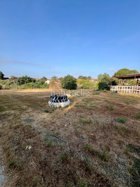 Foto b246260f-99cb-40f6-a02a-21af9fa2bcd6. Finca rústica finca a la venta en la pilarica en Puebla del Río (La)
