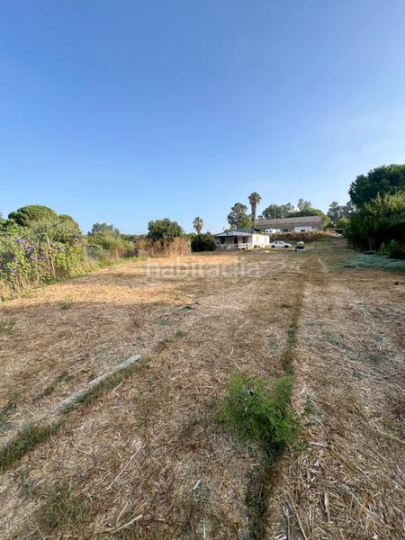 Foto bb27d033-225a-41c9-b917-332872e31d99. Finca rústica finca a la venta en la pilarica en Puebla del Río (La)