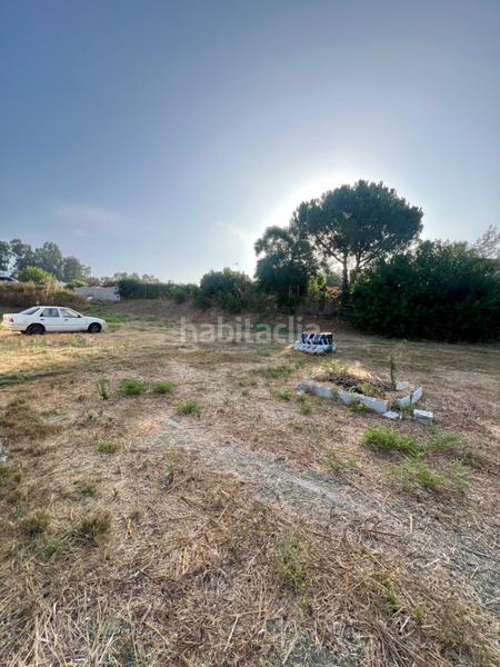Foto c4fb2989-e8c1-4fad-812c-62d80cdc70b0. Finca rústica finca a la venta en la pilarica en Puebla del Río (La)