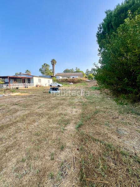 Foto db557d28-6a11-43c5-bdb8-22023f6551f3. Finca rústica finca a la venta en la pilarica en Puebla del Río (La)