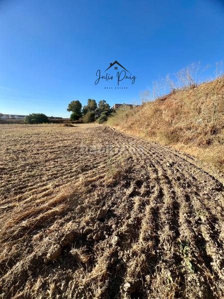 Foto de4b5bed-78ba-4142-aac6-ef125a9081b2. Finca rústica a Coria del Río