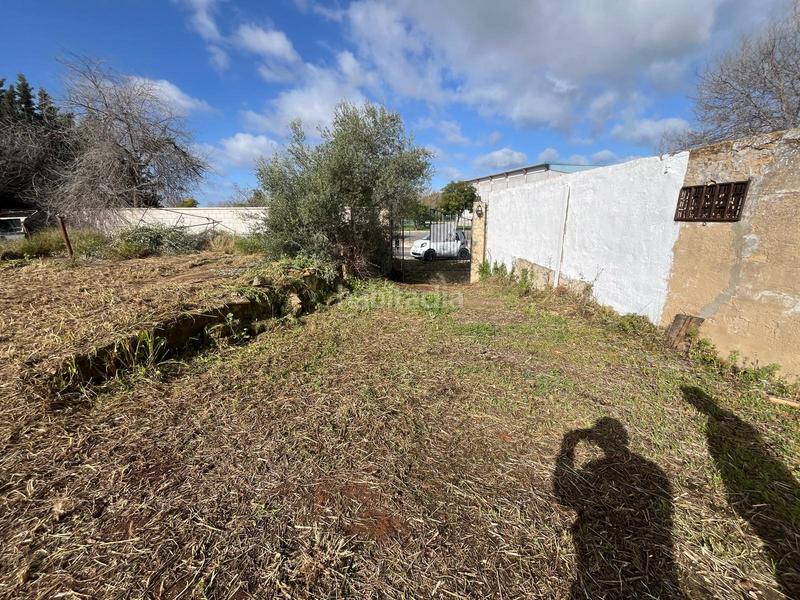 Foto 0ede1147-4579-4259-9b88-2c5ae952d8e2. Wohngrundstück in Palomares del Río