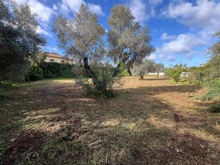 Terrain résidentiel à Palomares del Río. ¡excelente oportunidad para construir el hogar de tus sueños!