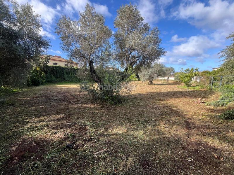 Foto 3a4c4f91-d9e2-4aa0-8072-401c485dd8e5. Wohngrundstück in Palomares del Río