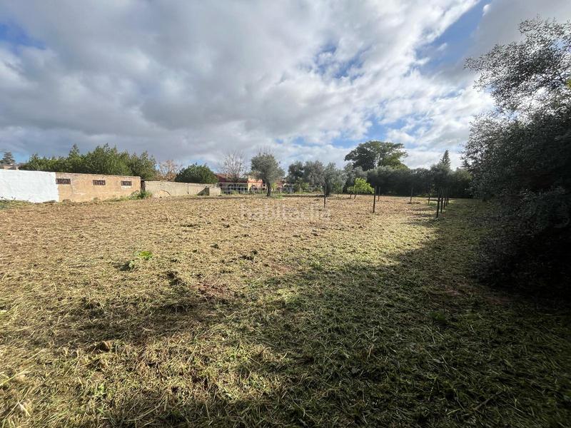 Foto 46f5e66e-fedc-422f-8bec-49a5af9cf8b8. Wohngrundstück in Palomares del Río