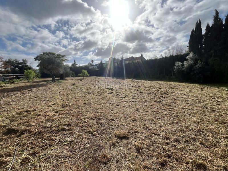 Foto 896934fe-6961-47d5-ac69-9df465e0cbe9. Wohngrundstück in Palomares del Río