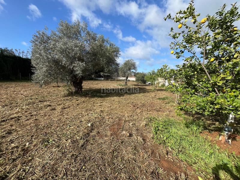 Foto 9af48baf-1424-4547-9929-a8dccc82a4c9. Wohngrundstück in Palomares del Río