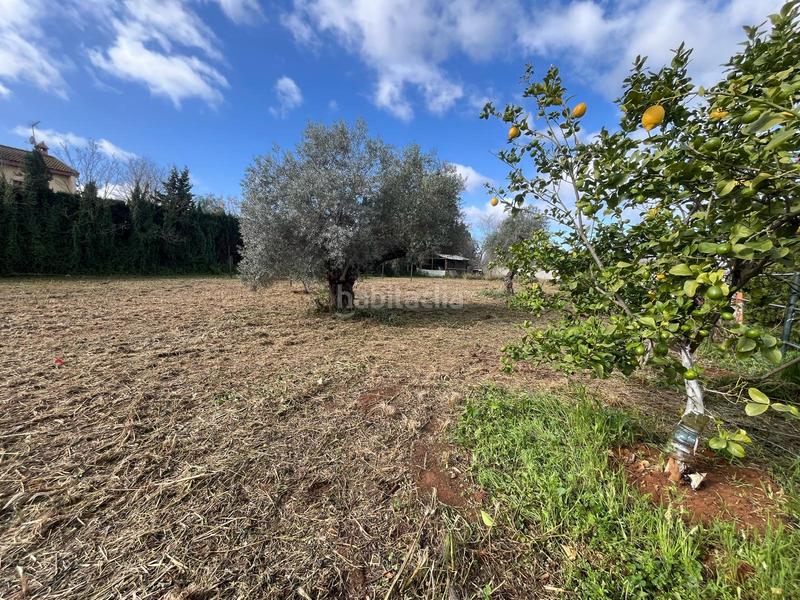 Foto e95ae538-cd73-4d51-94ee-947f0d8e633a. Wohngrundstück in Palomares del Río