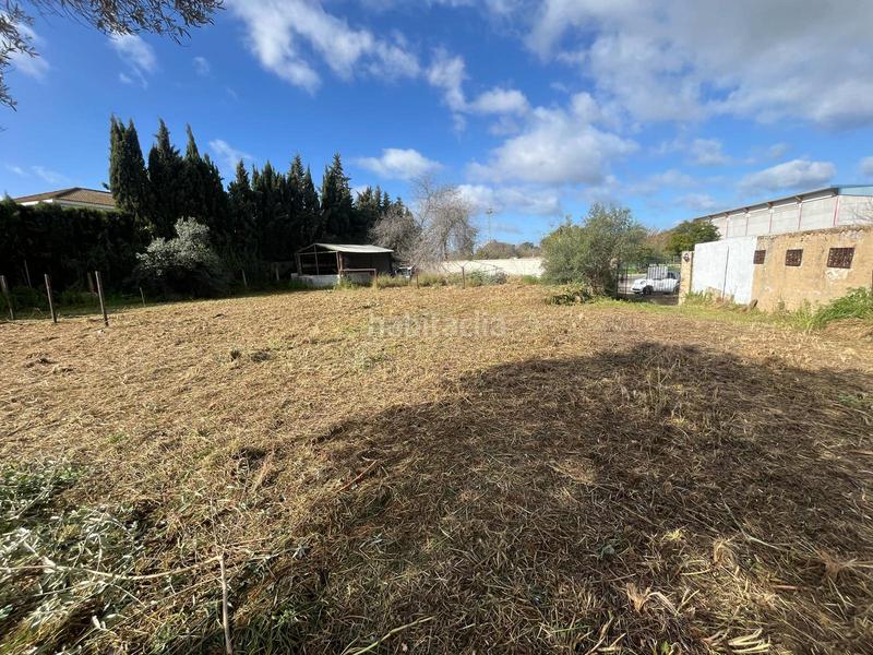 Foto fd9ce13a-0544-49a5-8dcc-5f38a1dfd1d2. Wohngrundstück in Palomares del Río