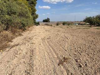 Finca rústica a Palomares del Río. Sensacional terreno en la misma carretera de coria - palomares d