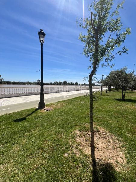 Foto 0eb76a9e-3d6f-4581-94d8-22025dd21f03. Terreno residencial suelo residencial en venta en Coria del Río