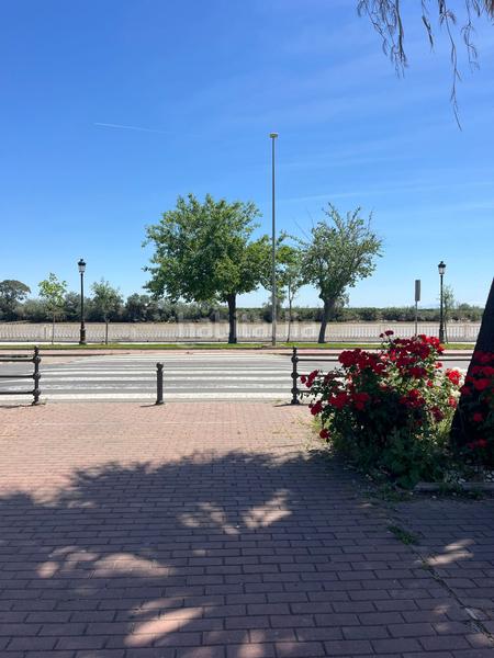 Foto 0a332ecb-eeb6-412e-a102-67595b5d7ebd. Wohngrundstück in Coria del Río