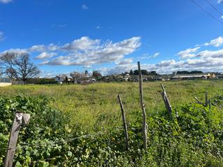Finca rstica en Coria del Ro. Preciosa finca rustica en coria del rio