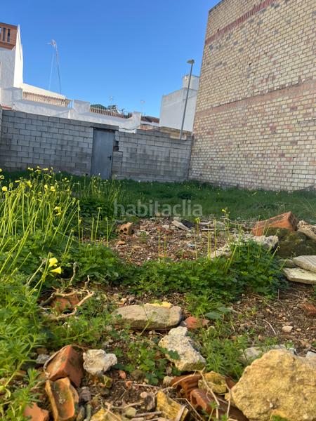 Foto 0a2dfe70-fa5e-4517-a0ac-4f7fad78c631. Terreny residencial a Coria del Río