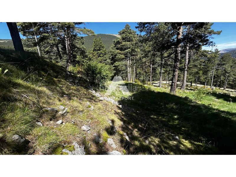 Foto 5a471342-9ef4-4770-b7b9-238b283168c2. Terreny residencial a Coma i la Pedra (La)