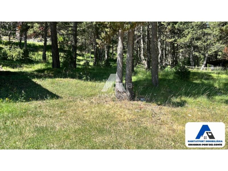 Foto 3dca2837-d1f8-47da-86b8-a29bad6da04c. Casa amb aparcament a Coma i la Pedra (La)