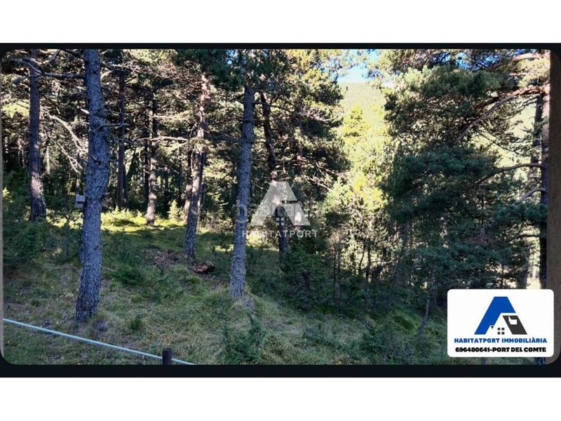 Foto dafefb64-6bd1-487c-82f0-c15bc6fd61ee. Casa amb aparcament a Coma i la Pedra (La)