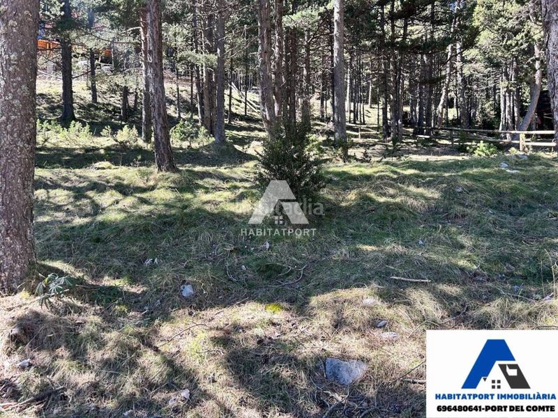 Foto 4953b253-6015-4f18-a8d2-3d15413aafca. Terreny residencial a Coma i la Pedra (La)