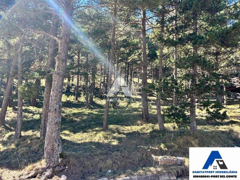 Foto abed1472-5a8b-42ef-a502-52ae75d5b772. Terreny residencial a Coma i la Pedra (La)