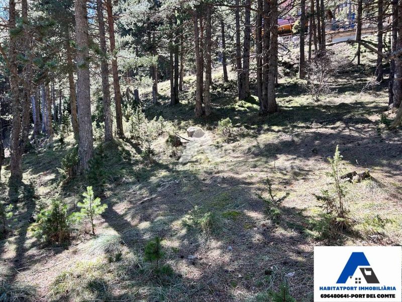 Foto cc11b5fe-1aa5-4456-a590-8d79998d080d. Terreny residencial a Coma i la Pedra (La)