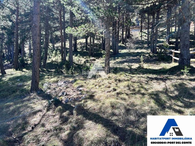 Foto db3f06b5-b1d4-4115-bfef-de8285933487. Terreny residencial a Coma i la Pedra (La)