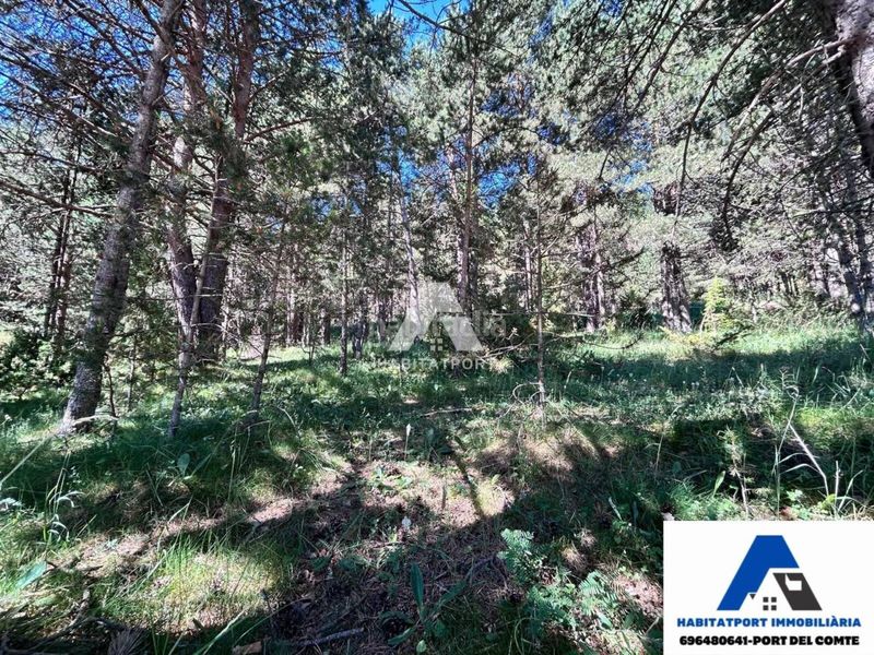 Foto 7e06bfeb-60b3-4455-8862-220597f9a117. Terreny residencial a Coma i la Pedra (La)