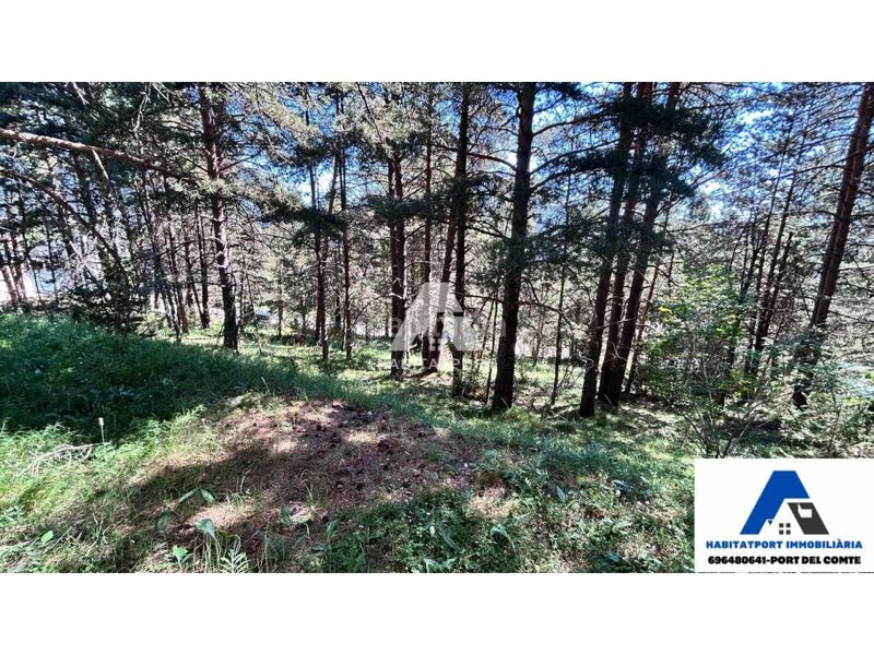Foto 88ae9216-9896-4034-87d6-e27885772cc5. Terreny residencial a Coma i la Pedra (La)
