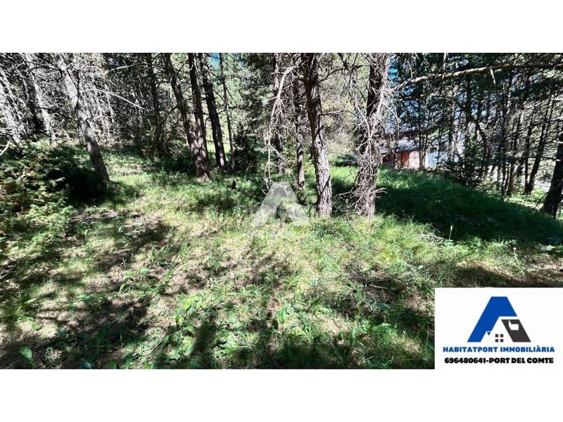 Foto a1ebc7a0-cc16-48be-b6b7-ce41128560d6. Terreny residencial a Coma i la Pedra (La)