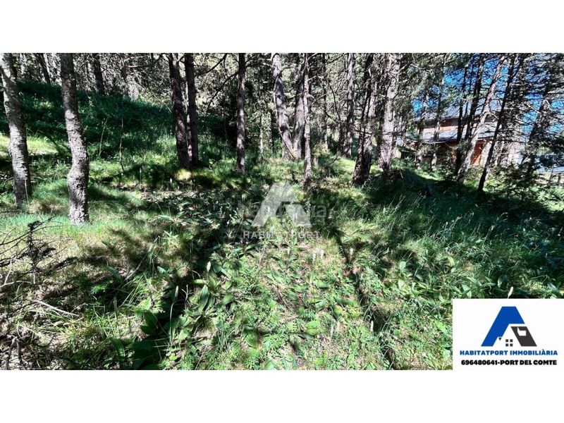 Foto a413a75f-c851-40a5-947e-72981d835e8b. Terreny residencial a Coma i la Pedra (La)