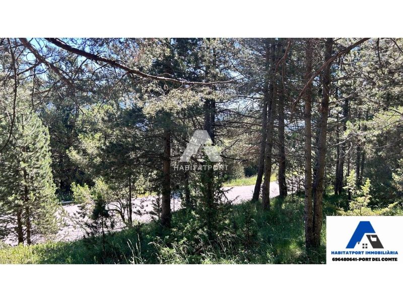 Foto ebef078d-a986-4ea0-b8eb-fb350cfe89e6. Terreny residencial a Coma i la Pedra (La)