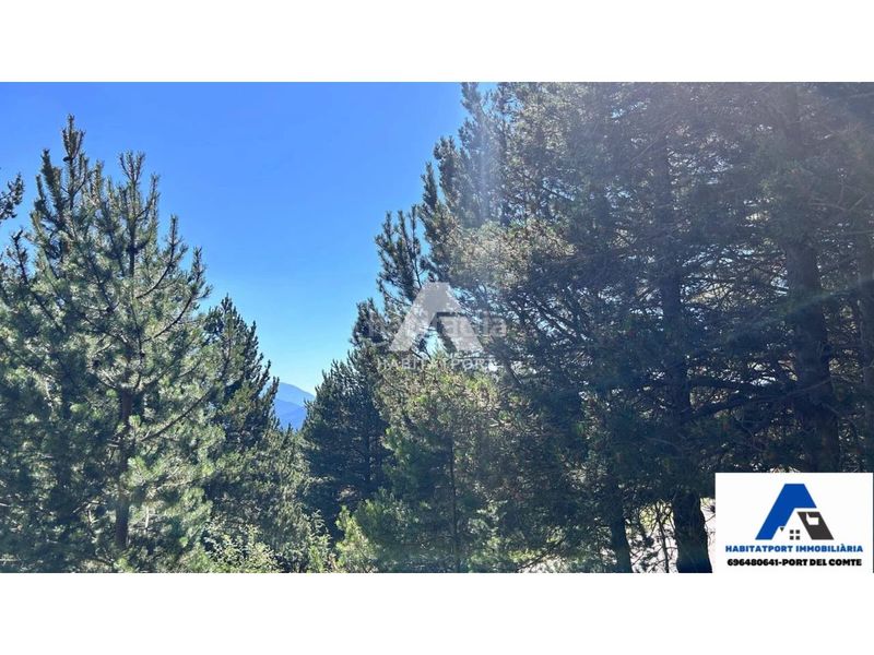 Foto f6453099-7ef3-4288-b03e-9e42370c87f0. Terreny residencial a Coma i la Pedra (La)