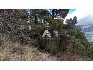 Terreny residencial  Boïga gran. Venta de parcela en port del comte