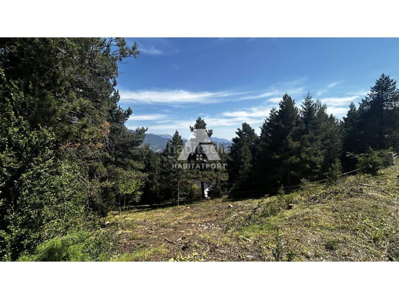 Foto 8c2f892b-f281-4b31-9c13-6e1698b7abbe. Residential plot in Coma i la Pedra (La)