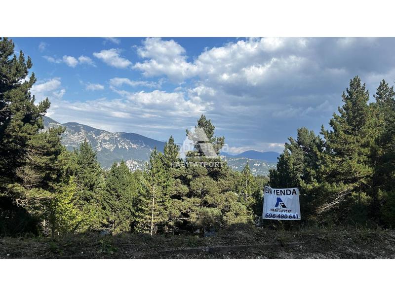 Foto a0fa407f-7263-4eaa-b085-60ca6465c4e0. Residential plot in Coma i la Pedra (La)