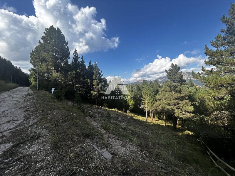 Foto a4e462a5-d026-4f4a-b6f0-fdbb5c14397b. Residential plot in Coma i la Pedra (La)